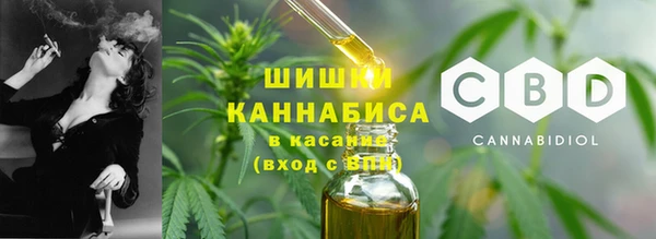 эйфоретик Вяземский