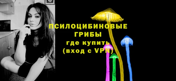 альфа пвп Надым