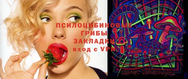 винт Михайловка