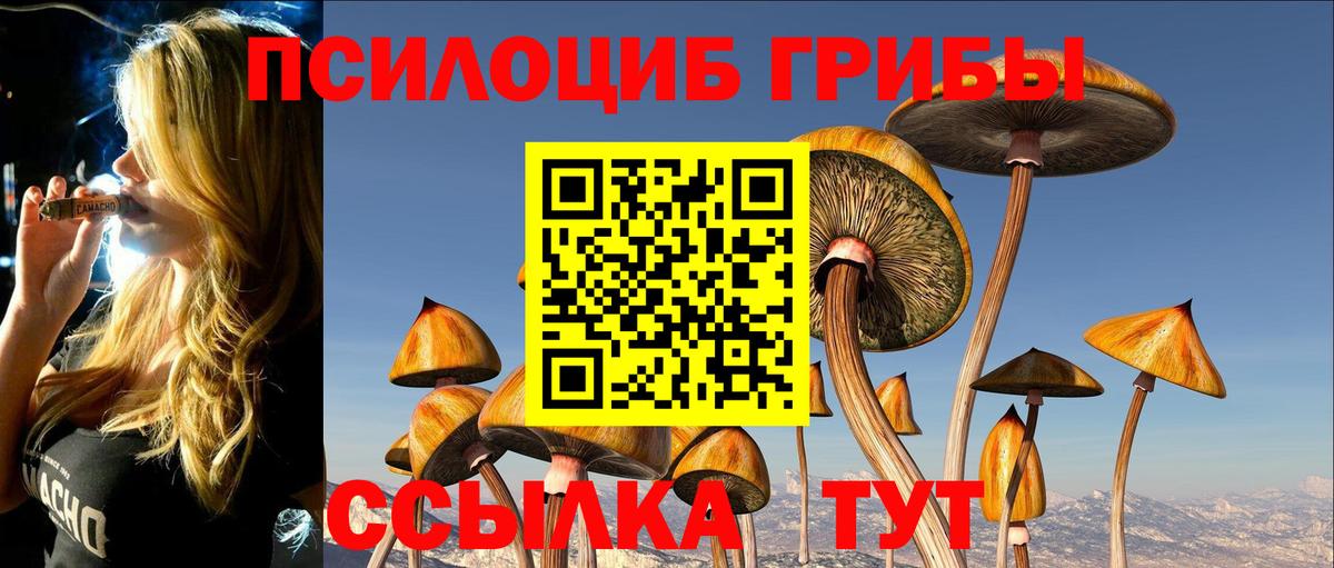 Галлюциногенные грибы Psilocybine cubensis  купить  цена  Радужный  Вход с VPN 